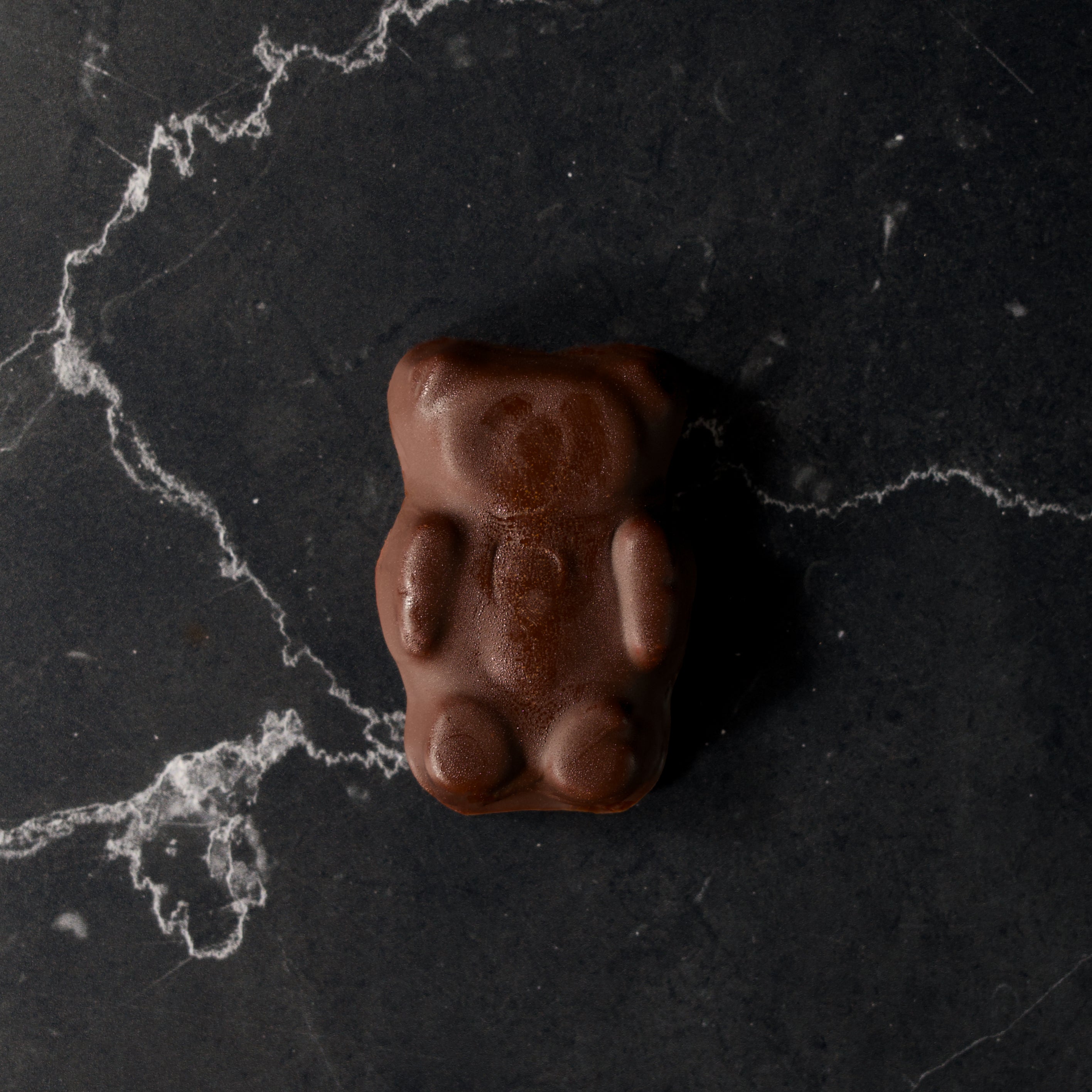 L'ourson guimauve chocolat noir XL
